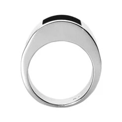 18K White Gold Men's Black Onyx Ring 12.9mm -Jewelry Sales Store 18k gold mens black onyx ring p 31945 back white 20220426